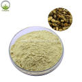 Natural Sophora Japonica Extract Powder 98% Genistein Powder